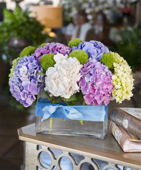 Magical Concerto Hydrangea: The Perfect Addition to Fairy Gardens